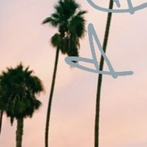 Meet your Posher, Evelyn